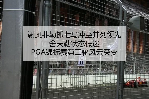谢奥菲勒抓七鸟冲至并列领先 舍夫勒状态低迷 PGA锦标赛第三轮风云突变